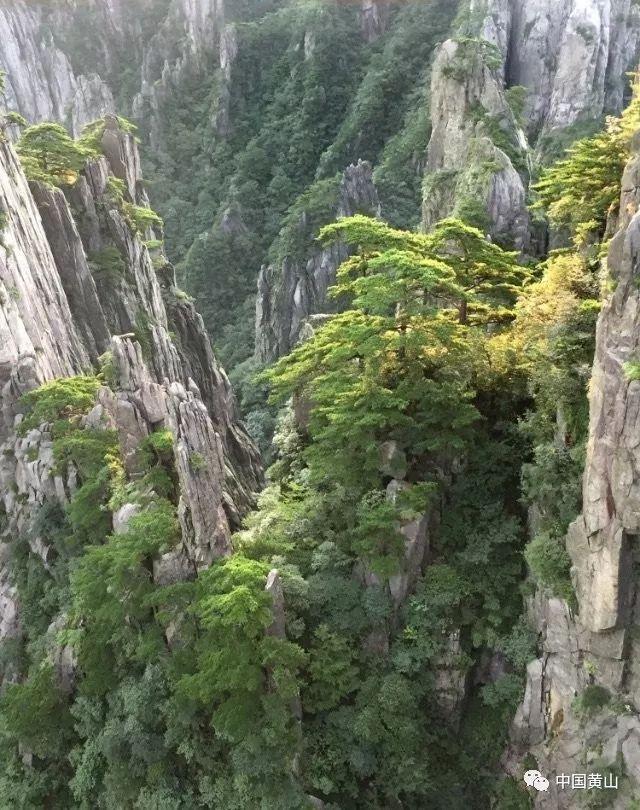 小猫钓鱼游戏龙王版有船